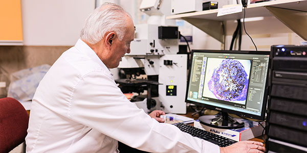 Professor Ugo Ripamonti